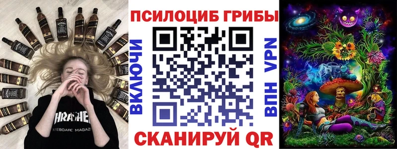 Псилоцибиновые грибы Psilocybe  Балей 